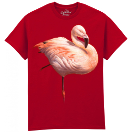 Kirsch Rot